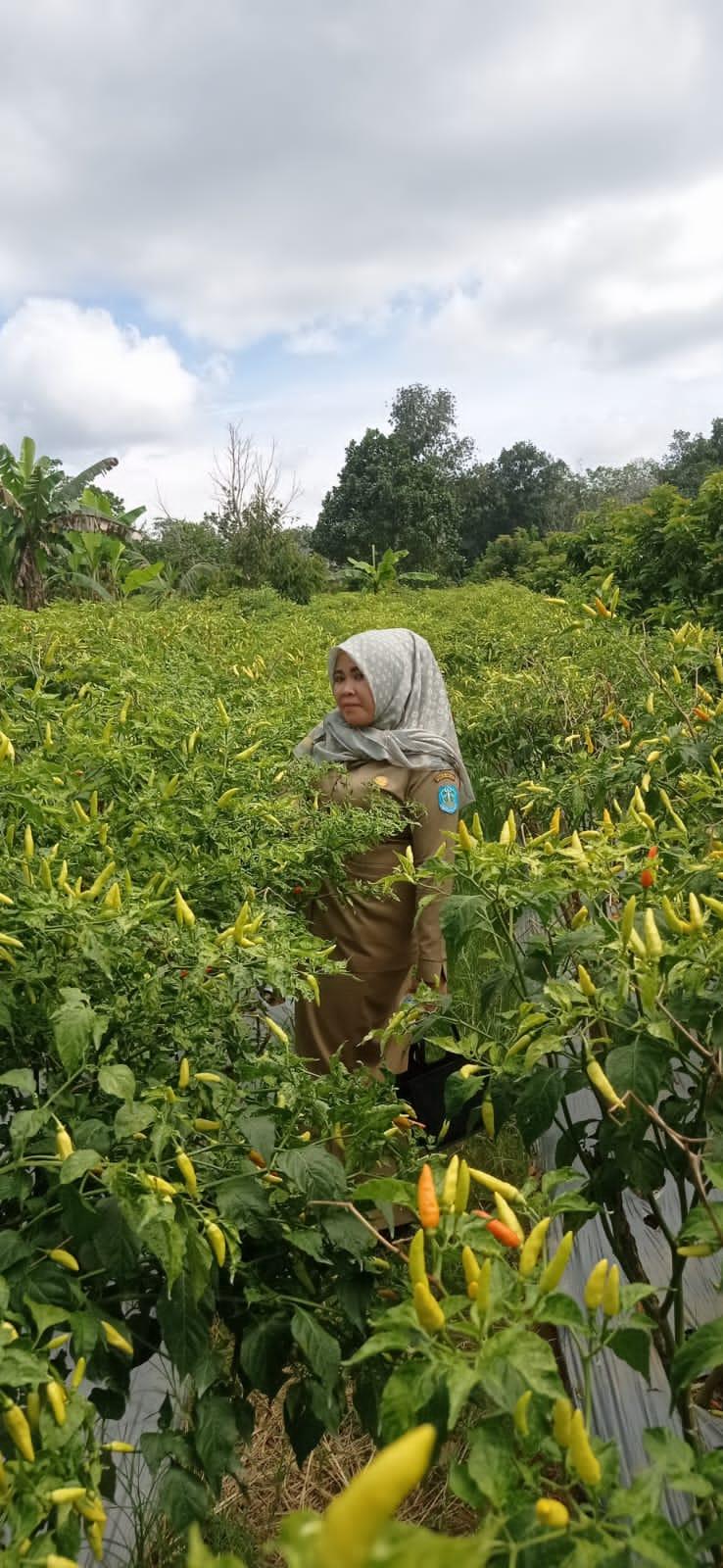 Yunidah Utami, Sekertaris Dinas Pemberdayaan Masyarakat dan Desa Kabupaten Bangka. (Stisipol Pahlawan 12 Sungailiat)