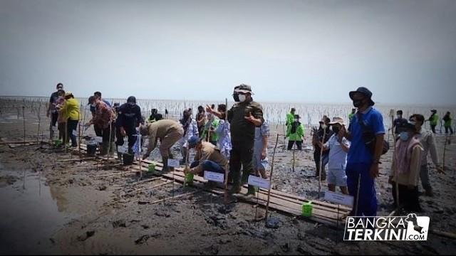 Bangka Tengah Jadi Perwakilan Penanaman Mangrove Provinsi Bangka Belitung Bersama Presiden RI Jokowi Dodo.