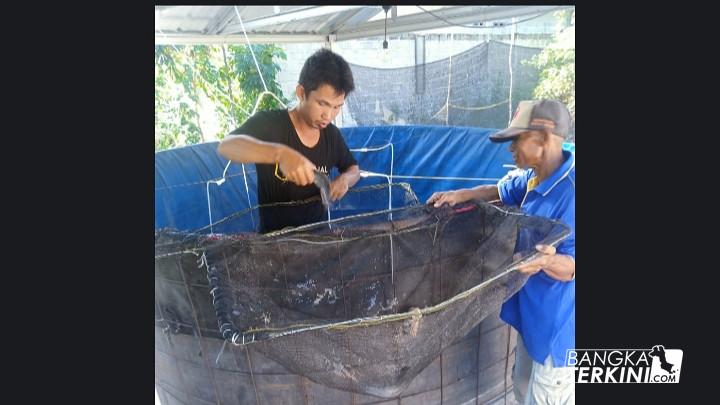 Ari Arpandi ketua Pokdakan ikan Lele dan Gurame yang terletak di Kelurahan Arung Dalam Kecamatan Koba