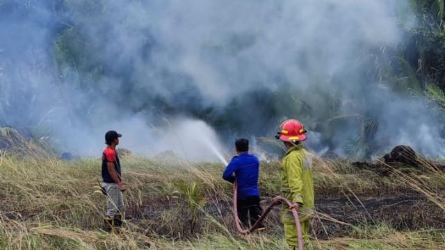 Lahan 1,5 hektar di Desa Kurau Dilahap Api