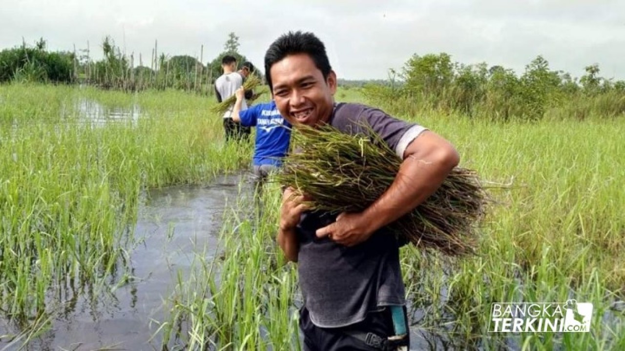 aksi penanaman Anggrek Pensil (Papillionanthe hookeriana), di Sungai Upang Desa Tanah Bawah Kecamatan Puding Besar, Minggu (04/11/2018).