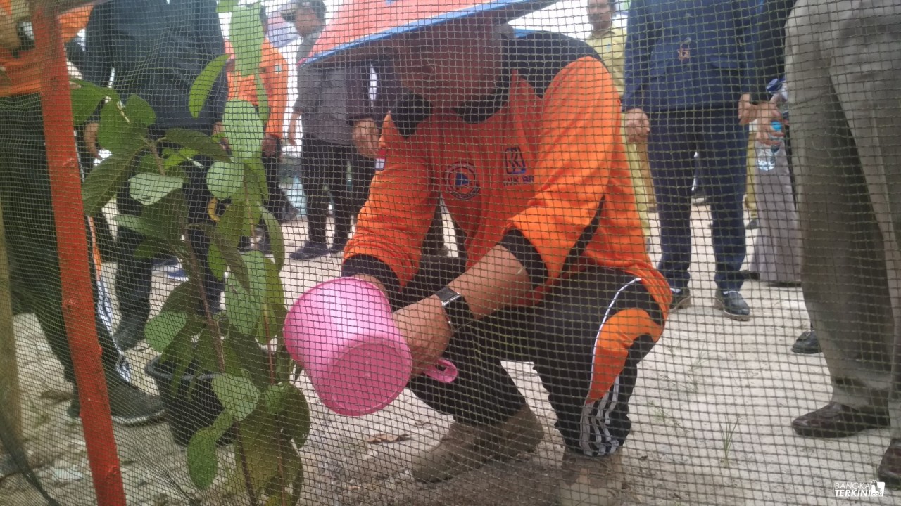 Molen melakukan Penanaman pohon