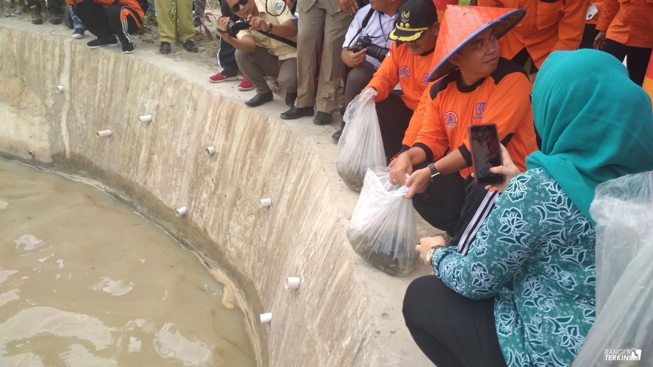 Penaburan benih ikan