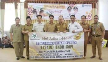 ‎BANGKA TENGAH, BANGKATERKINI– Pemerintah Kabupaten Bangka Tengah (Pemkab Bateng) menerima bantuan hewan kurban berupa sapi dari mitra Corporate Social Responsibility,
