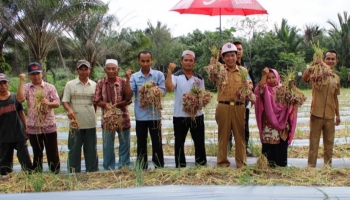Bangka Belitung - Bangka Terkini - Bangka Tengah - Bupati,