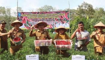 BANGKA TENGAH, BANGKATERKINI – Dalam upaya mengurangi ketergantungan masyarakat pada sektor pertambangan di Bangka Tengah,,