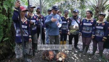 BANGKA SELATAN, BANGKA TERKINI - Demi Petani Sejahtera, Gubernur Bangka,