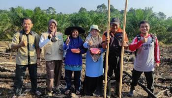 Budaya nugal atau sistem tanam padi ladang yang dilaksanakan masyarakat,