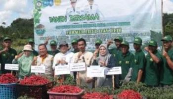 BANGKA TENGAH, BANGKATERKINI – Gabungan Kelompok Tani (Gapoktan) Pading Makmur Desa Lubuk Pabrik menyaksikan cabai,