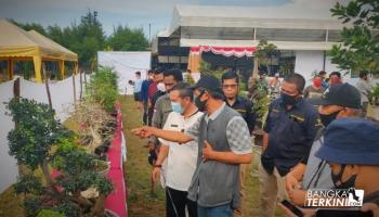 BANGKA TERKINI - PANGKALPINANG - Bertemakan &#039;Gebyar Bonsai Kota Beribu,