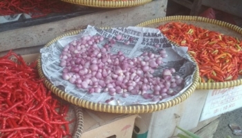 Berita Bangka Belitung - Bangka Terkini - Saat ini banyak,