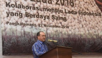 Berita Babel -- Bangka Terkini -- Permasalahan Lada jangan terus,