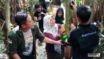 Berita Bangka Belitung - Bangka Terkini - Selain konservasi Ex-situ,