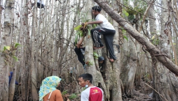 Bangka Belitung - Bangka Terkini - Hari Lingkungan Hidup, Sungai,