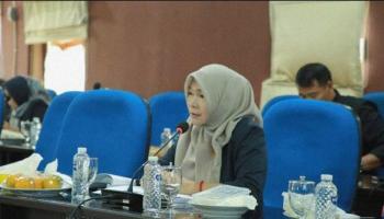 Ini Kata Anggota DPRD Babel Terkait Isu Sejumlah Dokter Sebagai,