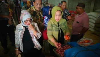 Berita Bangka Belitung - Pangkalpinang - Bangka Terkini - Kepada,