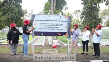 PANGKALPINANG - Kebun Percontohan, Diharapkan Membangkitkan Gairah Berkebun Masyarakat
