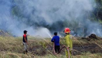 PENULIS : ILHAM, BANGKA TENGAH - Lahan 1,5 hektar di,