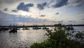 BANGKA TERKINI - BANGKA TENGAH - Aktivitas tambang liar yang,