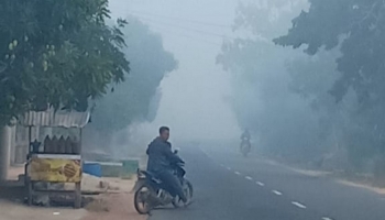 Berita Bangk Belitung hari ini - Bangka Terkini - Mikron,