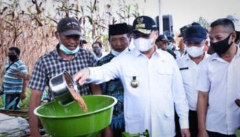 BANGKA TERKINI - PANGKALPINANG - Nilai Tukar Petani (NTP) di,