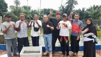 BANGKA TENGAH, BANGKATERKINI - Udang vaname adalah salah satu varietas udang dengan rasa yang lezat.,
