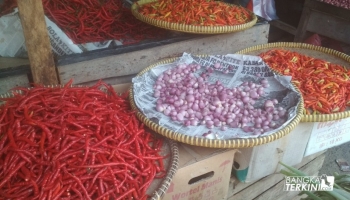 Yang terjadi kenaikan pada telur ayam, naik sekitar Rp 50,