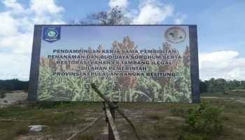 Berita Babel - Bangka Terkini - Seperti lahan yang terbengkalai,