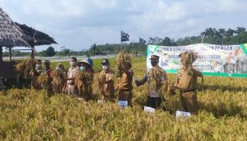 Wakil Bupati Bangka Tengah Hery Erfian mengatakan, Konsumsi Beras masih,