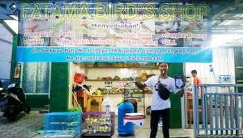 Bangka Belitung - Bangka Terkini - Ramai Dikunjungi, Fatama Birds,