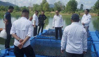 BANGKA TENGAH,  BANGKATERKINI Dalam rangka mendukung minawisata Danau Pading, ribuan benih ikan Nila,