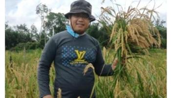 Sawit Murah Memperparah Kondisi Ekonomi, Heryawandi Desak Pemda Se-Babel Turun,