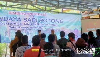 PENULIS ILHAM FEBRY, BANGKA TENGAH - BANGKA TERKINI - Sebanyak,