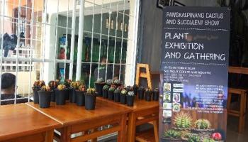 BANGKA TERKINI - PANGKALPINANG - Komunitas Pecinta Kaktus Bangka Belitung,