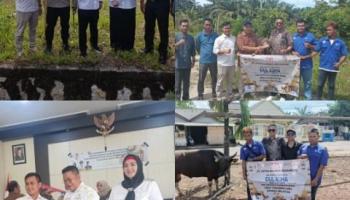 BANGKA SELATAN, BANGKATERKINI - Selama 13 tahun Sumbangkan Sapi Qurban,,