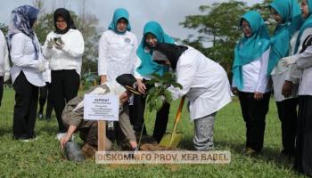 PANGKALPINANG - Serentak se-Indonesia, Pimpinan Daerah Tanam 1.000 Pohon Buah