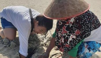Aktifitas berwisata di Pulau Nangka pastinya sangat seru dan jarang,
