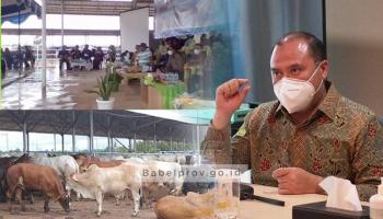 BANGKA TERKINI - Tingkatkan Produktivitas dan Perkuat Daya Tahan UMKM,