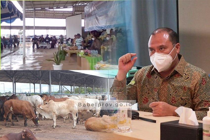Tingkatkan Produktivitas dan Perkuat Daya Tahan UMKM Babel, Gubernur Dorong Optimalisasi Penyaluran KUR